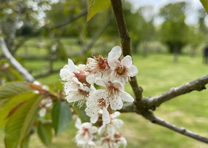 Prázdninový dům La Jagueliniere